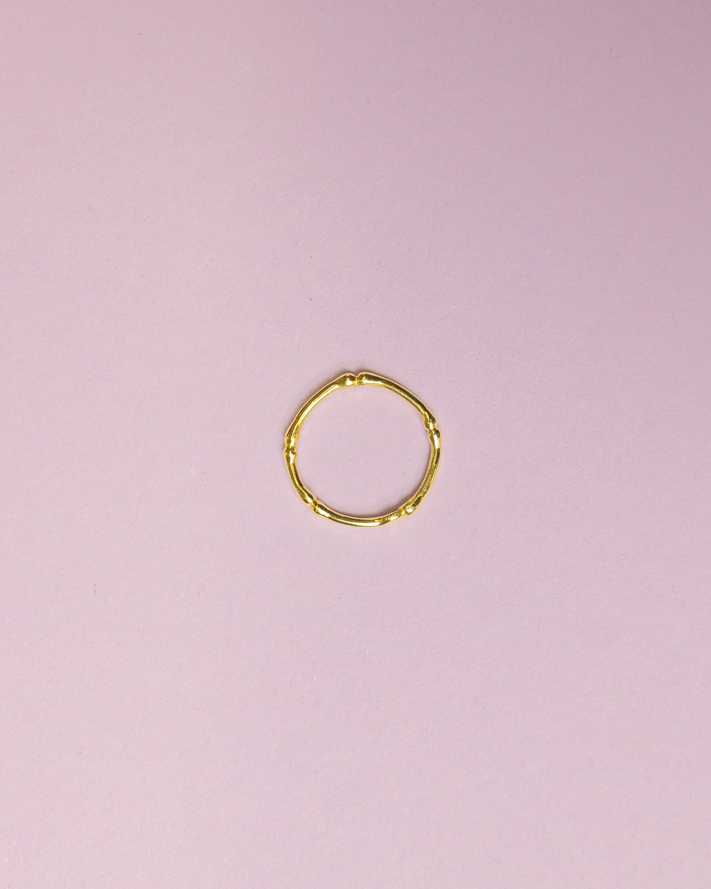 Goldring 2